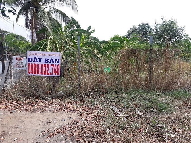 Hình ảnh Cho thuê mảnh đất phạm Hữu Lầu bên kia cầu phước long giá rẻ bất ngờ