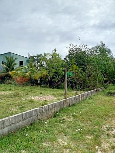 Hình ảnh Bán đất 1 sẹc đường Trung Lập - 1001m2 - 24x44 - 300m2 thổ cư - Củ Chi