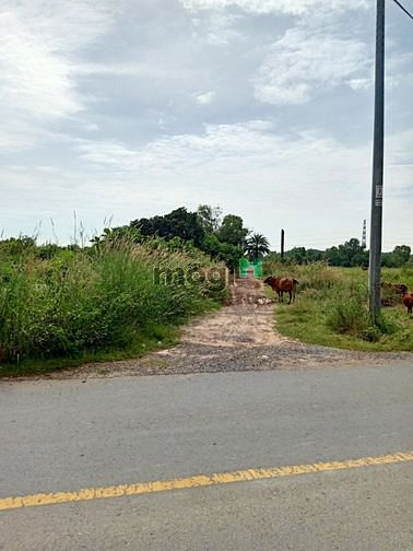 Hình ảnh Bán đất 2 mặt tiền đường Bùi Thị Điệt - 765m2 - 15x53 - 100m2 thổ cư