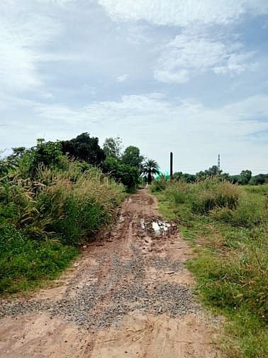 Hình ảnh Bán đất 2 mặt tiền đường Bùi Thị Điệt - 765m2 - 15x53 - 100m2 thổ cư