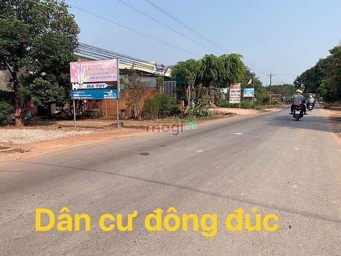 Hình ảnh Bán gấp đất 300m2 TC 100m, Sổ sẵn Ql13
