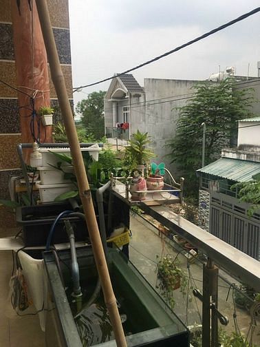 Hình ảnh Nhà Đẹp Khách Xem Khỏi Chê Luôn , Ngô Chí QUốc TĐ