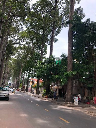 Hình ảnh nhà tốt quận 1 3 10 gửi khách hàng xem