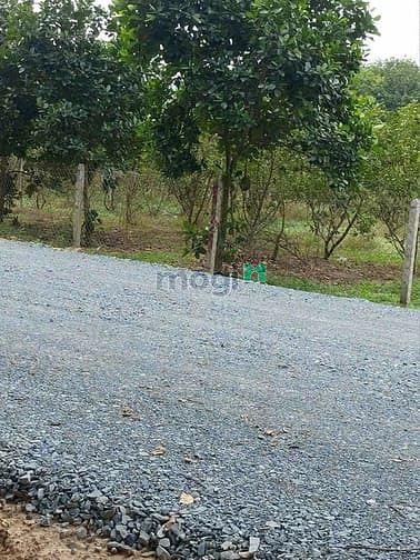Hình ảnh Cần bán gấp lô đất Vườn, Củ Chi, 4532m2, SHR, khu dân cư hiện hữu