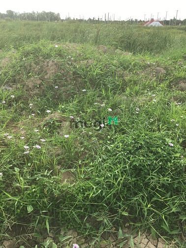 Hình ảnh Bán gấp 2 nền gần bến Cảng 80m2 100% thổ cư 387tr