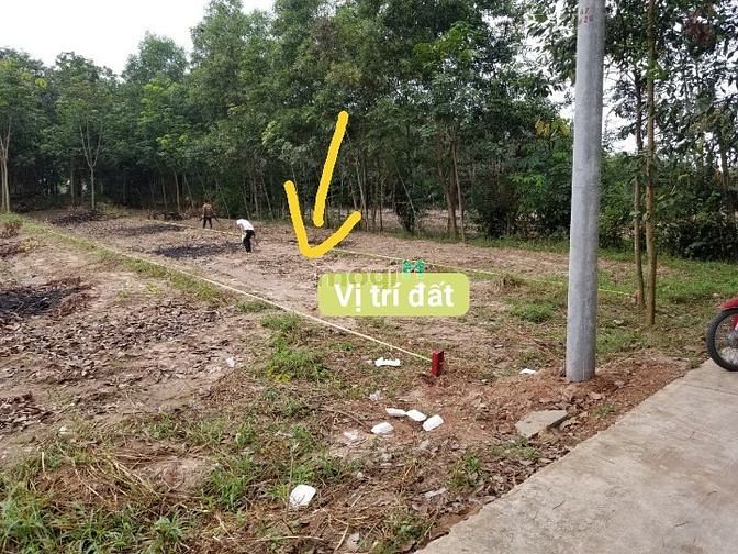 Hình ảnh Đất thổ cư thị trấn Lai Uyên Bàu Bàn