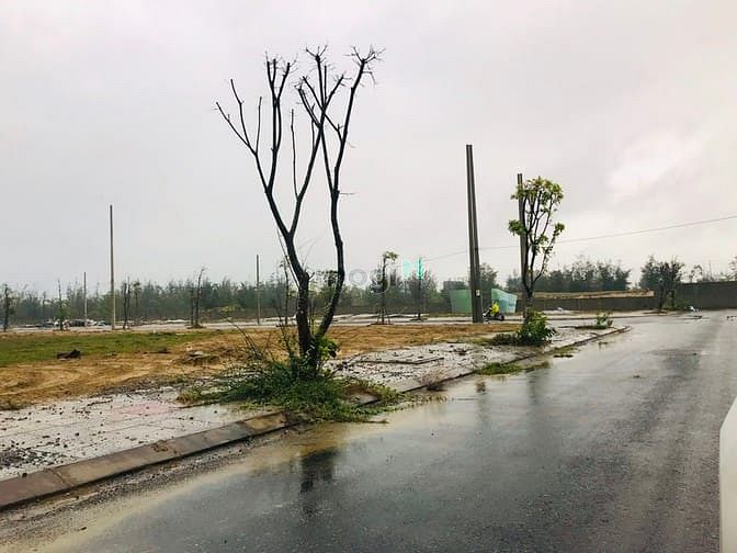Hình ảnh Đất Ngọc Dương ngay chợ Viêm Đông 90m² đường 10m5 , chỉ có 2 lô