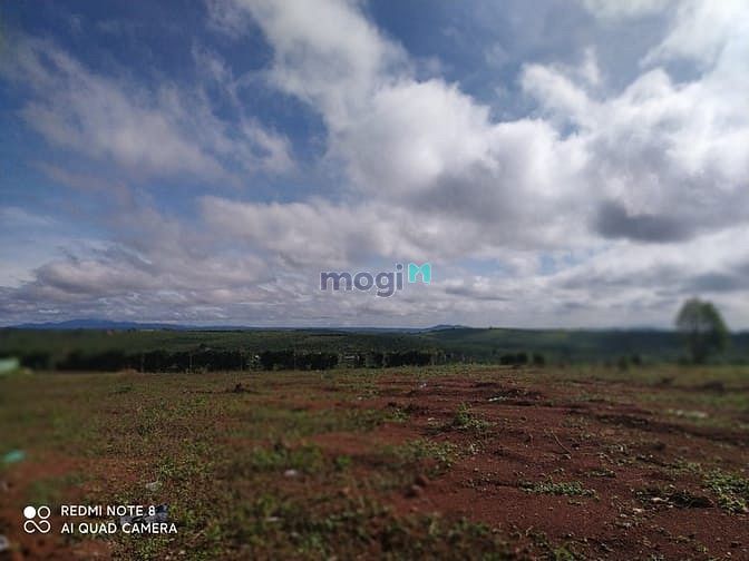 Hình ảnh Bán đất thổ cư 205m2 TP Bảo Lộc view đẹp săn mây khí hậu mát mẻ