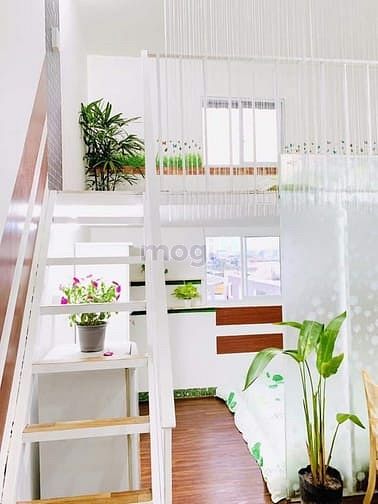 Hình ảnh Đ𝐚̂̀𝐲 đ𝐮̉ 𝐧𝐨̣̂𝐢 𝐭𝐡𝐚̂́𝐭 - 𝐆𝐚̂̀𝐧 𝐜𝐡𝐮̛𝐧𝐠 𝐜𝐮̛ 𝐑𝐮𝐛𝐲