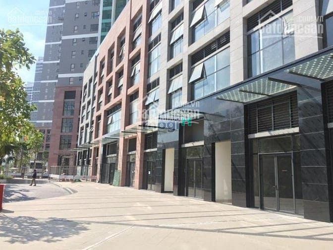 Hình ảnh Shophouse thô tại The Sun Avenue cho thuê 50 triệu