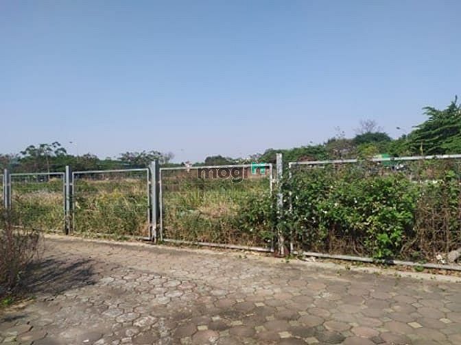 Hình ảnh Mảnh Đất Vàng Long Biên, Container Tránh–MT Khủng 6M, 73.6m2 nhỉnh 5tỷ