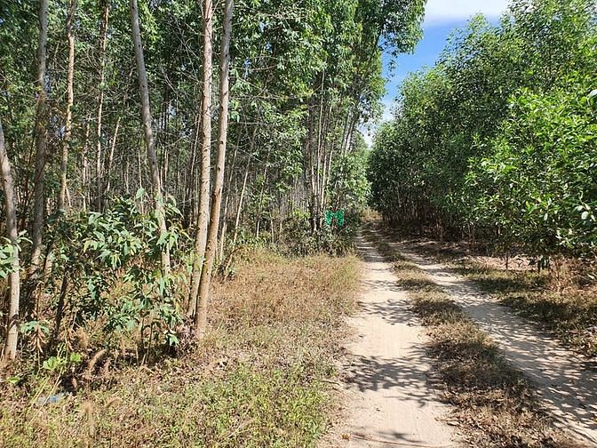 Hình ảnh Bán 1.2 Ha đất xã Tân Bình, thị xã LaGi sổ riêng