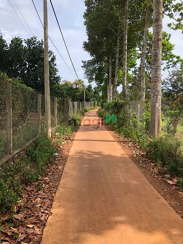 Hình ảnh Đất Nghỉ Dưỡng Xuân Bắc Đồng Nai