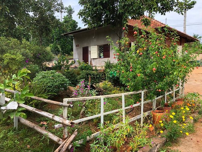 Hình ảnh Đất Nghỉ Dưỡng Xuân Bắc Đồng Nai