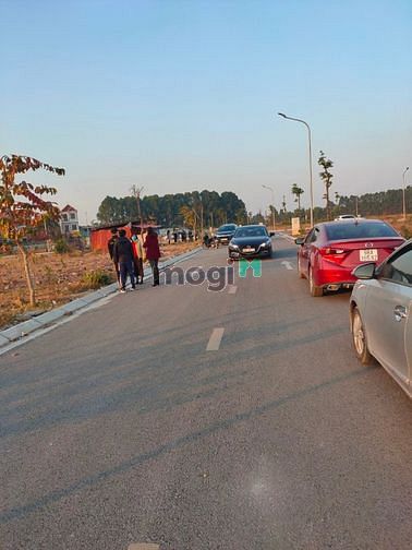 Hình ảnh Bán đất Sòi- Đồng Sơn Bắc Giang Giá Trúng Đấu