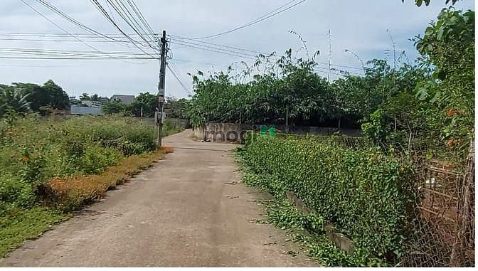 Hình ảnh Bán Lô Đất Sát Quốc Lộ 1A Chỉ 220triệu Gần Dầu Giây