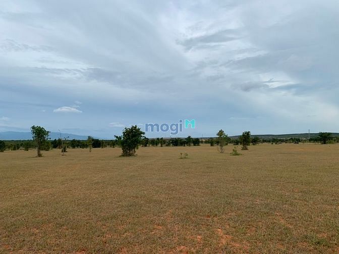 Hình ảnh 13500m2 gia 887tr sổ sẵn, công chứng ngay!!!