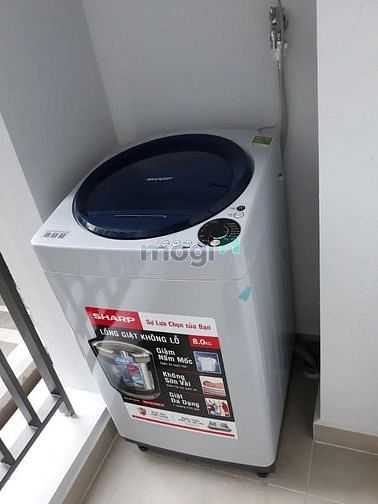Hình ảnh Botanica Premier Mb6623 nạp rút nhanh chóng mini cần cho thuê giá 10.5tr bao phí, Full NT