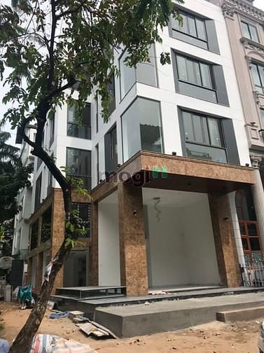Hình ảnh Cần Cho Thuê Gấp Biệt Thự Phố liên kế Phú Mỹ Hưng,  Q7'