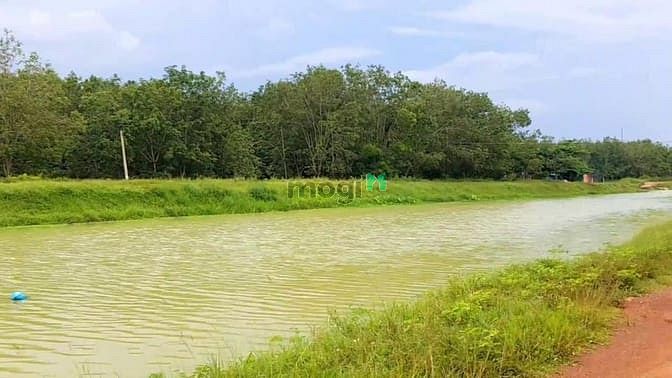 Hình ảnh Đất Viêw Kênh.Tây Ninh gần Núi Bà Đen giá rẻ