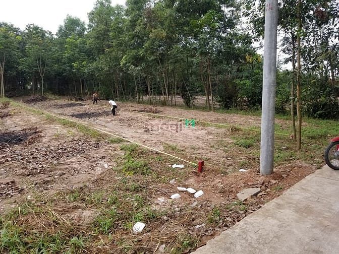 Hình ảnh Đất thị trấn Lai Uyên Bàu Bàng