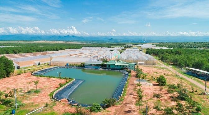 Hình ảnh Bán lô đất biệt thự vườn view biển