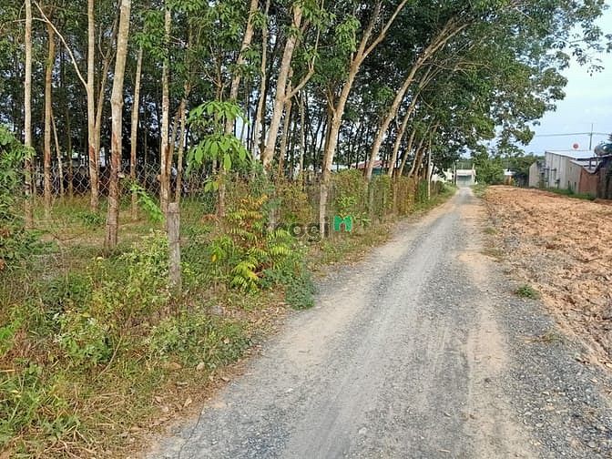 Hình ảnh Bán đất 1/ Nguyễn Thị Rành - 372 m2 - 15x25 - 300m2 thổ cư - Củ Chi
