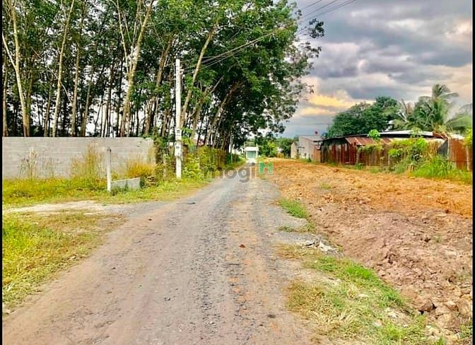 Hình ảnh Bán đất 1/ Nguyễn Thị Rành - 372 m2 - 15x25 - 300m2 thổ cư - Củ Chi