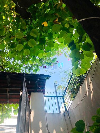 Hình ảnh Phòng cho thuê thoáng mát P.Phước Long B, Quận 9