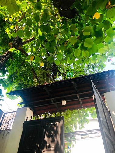 Hình ảnh Phòng cho thuê thoáng mát P.Phước Long B, Quận 9