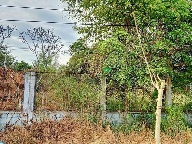 Hình ảnh Bán đất đường 500 - 385m2 - 6x65 - 300m2 thổ cư - xã Phạm Văn Cội
