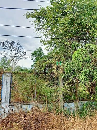 Hình ảnh Bán đất đường 500 - 385m2 - 6x65 - 300m2 thổ cư - xã Phạm Văn Cội