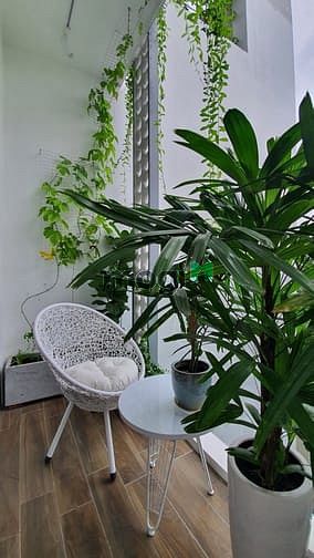 Hình ảnh 😍 Cho thuê Trang Chủ MB66.COM / Đăng Ký Tặng 66K dịch vụ đẹp ở quận 2 😍