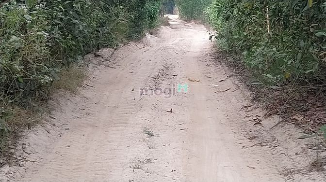 Hình ảnh bán 8,2 ha sơn mỹ giá chỉ 850 tr/ ha
