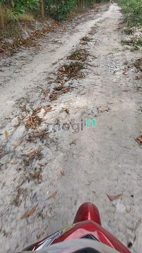 Hình ảnh bán 8,2 ha sơn mỹ giá chỉ 850 tr/ ha