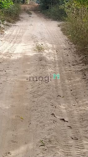Hình ảnh bán 8,2 ha sơn mỹ giá chỉ 850 tr/ ha