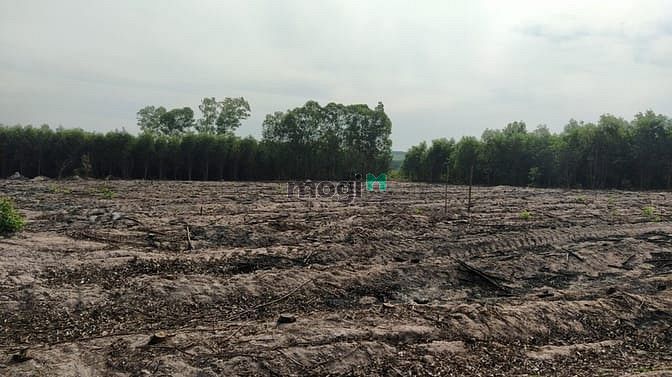 Hình ảnh bán 8,2 ha sơn mỹ giá chỉ 850 tr/ ha