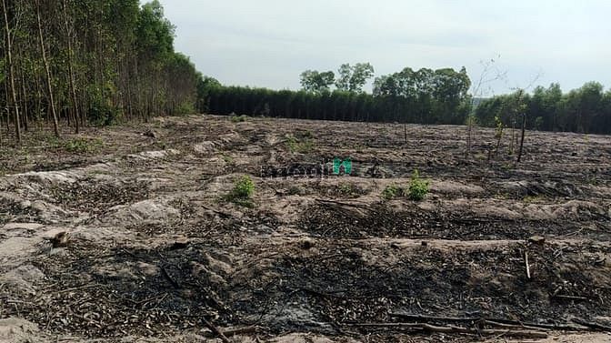 Hình ảnh bán 8,2 ha sơn mỹ giá chỉ 850 tr/ ha