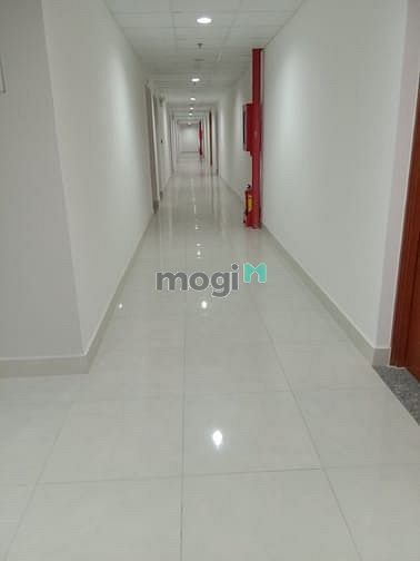 Hình ảnh Cho thuê c/h Tara Residence, Q8, 90m2, 3pn, Nhà trống - 8.5tr