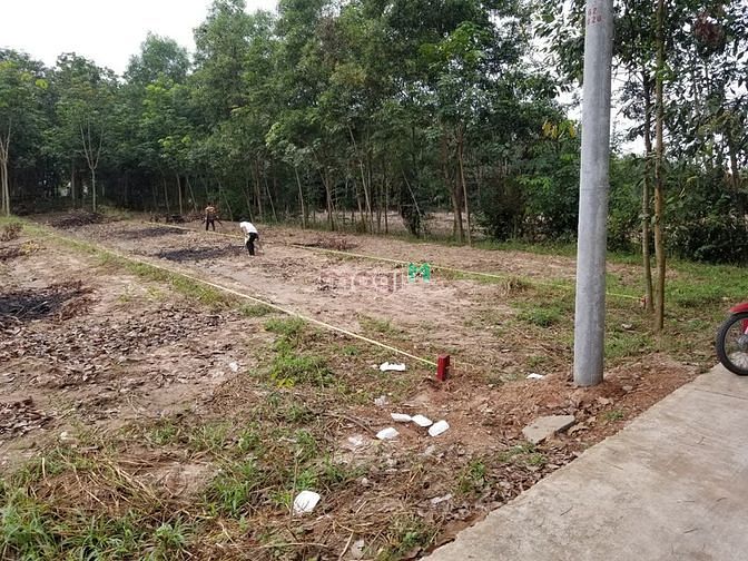Hình ảnh Đất ngộp thị trấn Lai Uyên Bàu Bàng