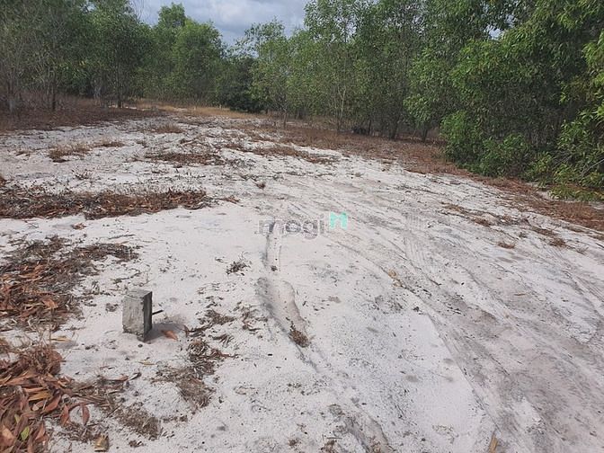 Hình ảnh Bán 4.2 sào đất Tân Phước, thị xã LaGi cách biển 500m giá tốt