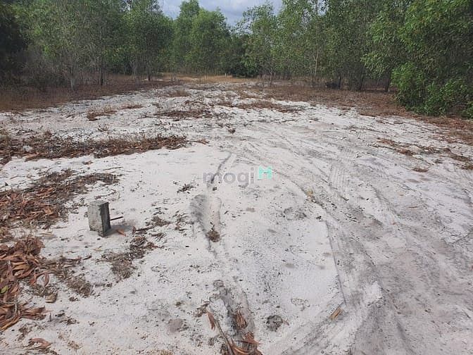 Hình ảnh Bán 4.2 sào đất Tân Phước, thị xã LaGi cách biển 500m giá tốt
