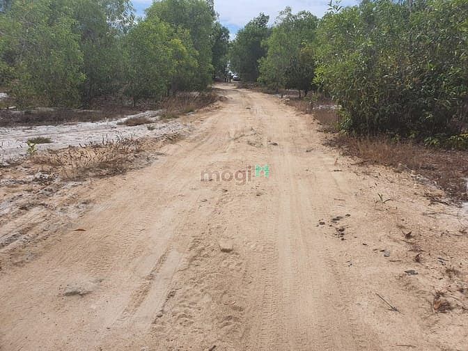 Hình ảnh Bán 4.2 sào đất Tân Phước, thị xã LaGi cách biển 500m giá tốt