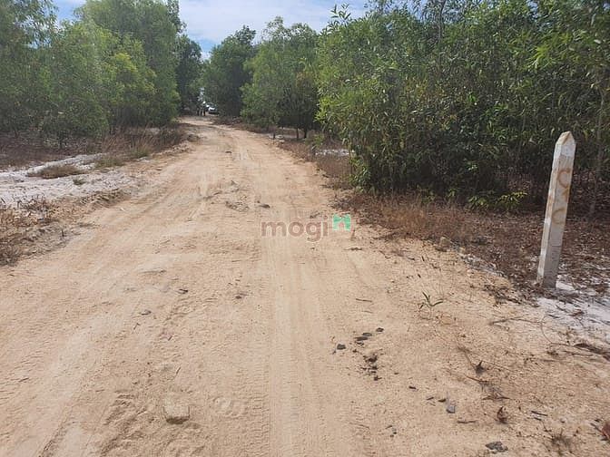 Hình ảnh Bán 4.2 sào đất Tân Phước, thị xã LaGi cách biển 500m giá tốt