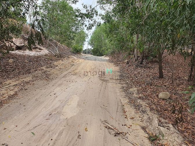 Hình ảnh Bán 4.2 sào đất Tân Phước, thị xã LaGi cách biển 500m giá tốt