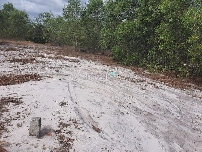 Hình ảnh Bán 4.2 sào đất Tân Phước, thị xã LaGi cách biển 500m giá tốt