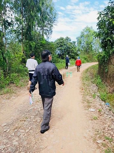 Hình ảnh Bán đất trồng cây 2 mặt tiền, sổ riêng, 360tr/sào