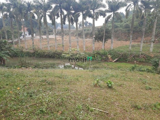 Hình ảnh bán đất nghỉ dưỡng Phú Mãn - Quốc Oai - HN