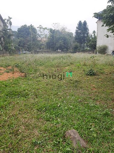 Hình ảnh bán đất nghỉ dưỡng Phú Mãn - Quốc Oai - HN