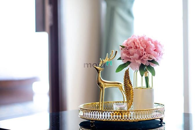 Hình ảnh Mở bán Trang Chủ MB66.COM / Đăng Ký Tặng 66K 2 phòng ngủ ven biển Phan Thiết
